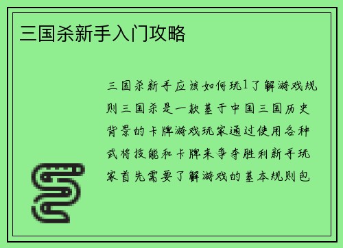 三国杀新手入门攻略